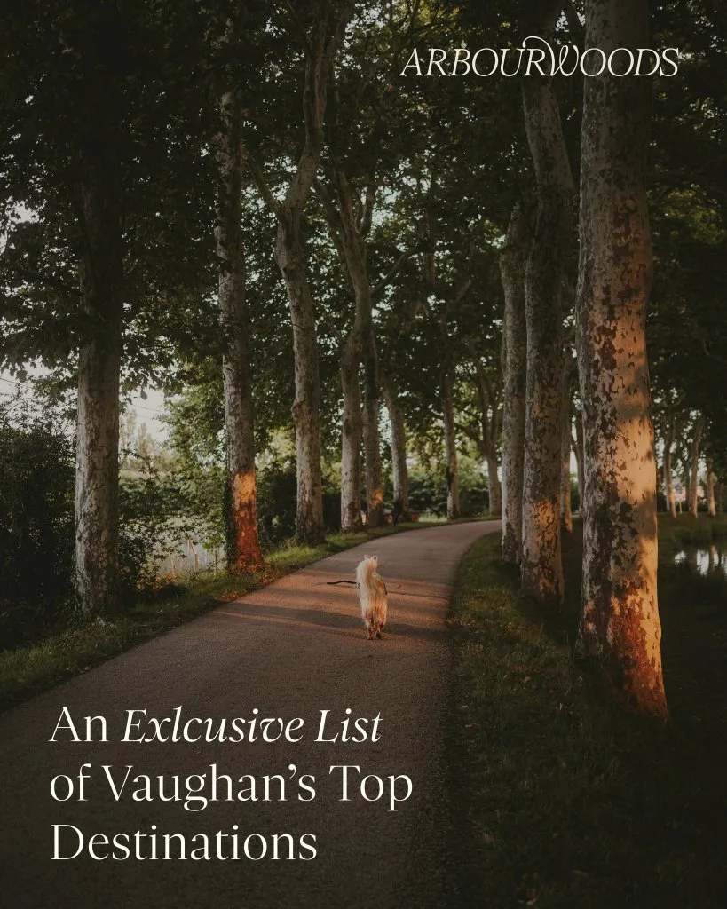 An exclusive list of Vaughan's top destinations